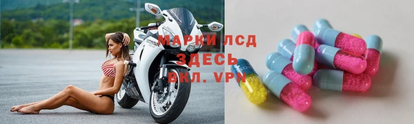 стафф Алексин