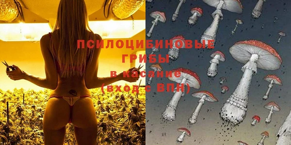 стафф Алексин