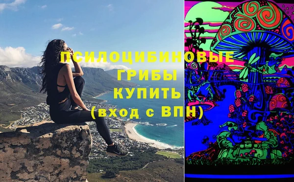 стафф Алексин