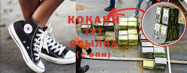стафф Алексин