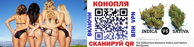 где можно купить   Арск  Шишки марихуана SATIVA & INDICA 